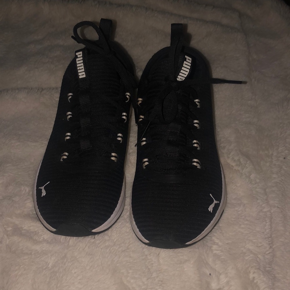 Black and white puma